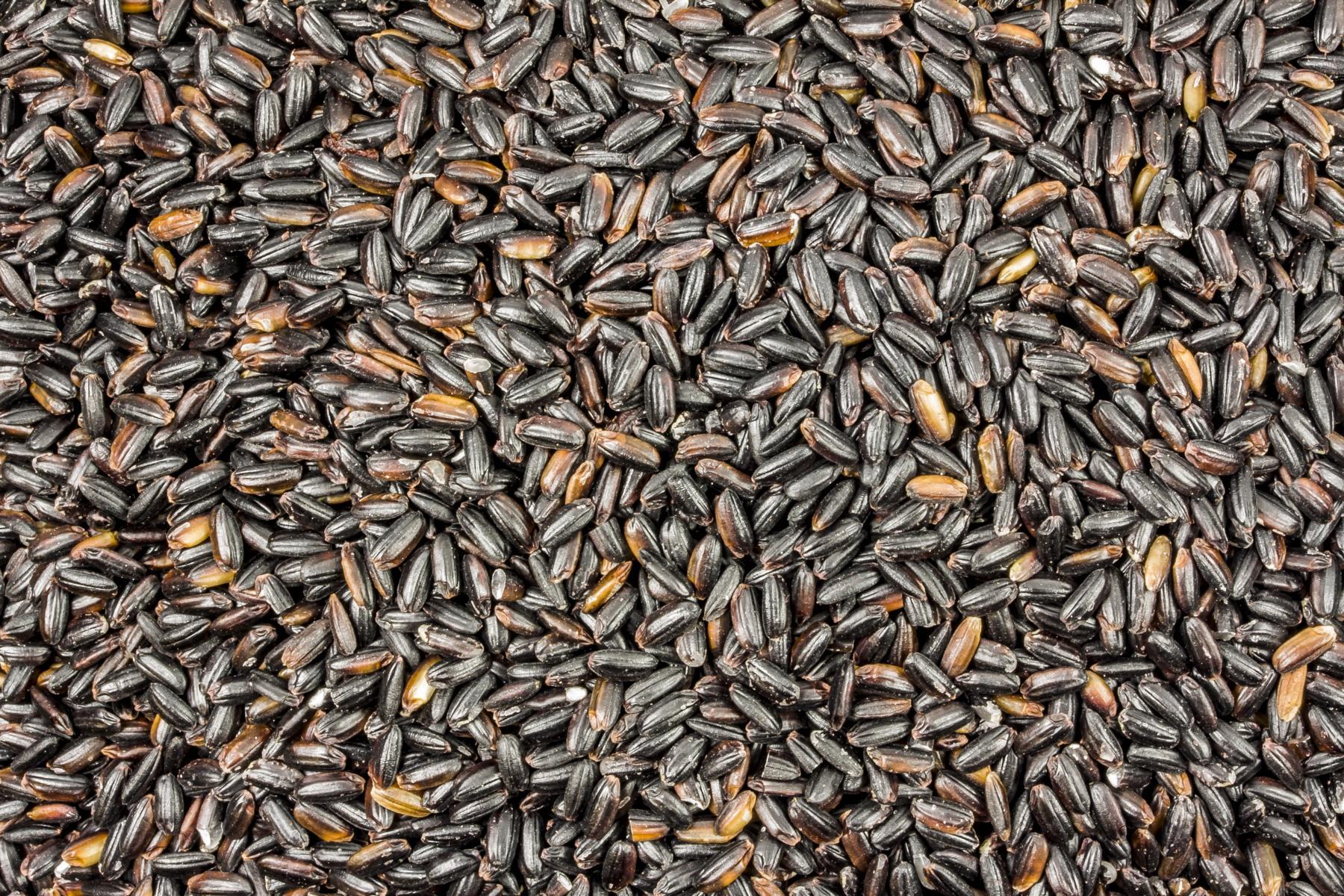 Riso integrale nero biologico 25kg