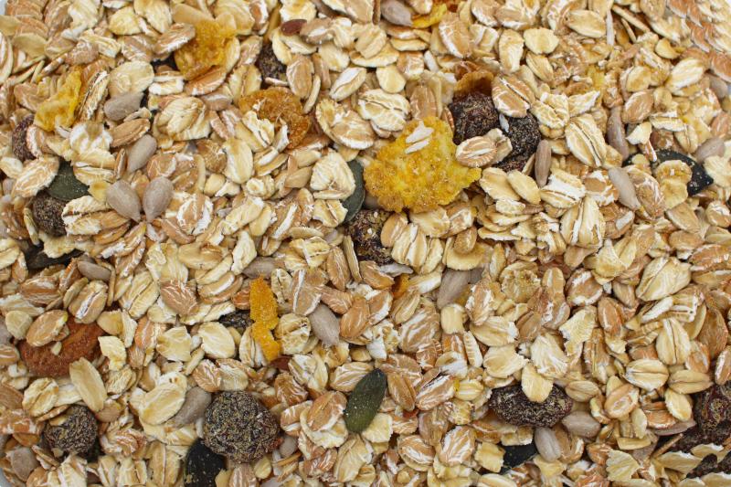 Muesli Vital bio 12,5kg