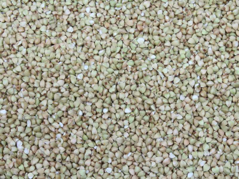 Grano saraceno decorticato biologico Europa 25kg