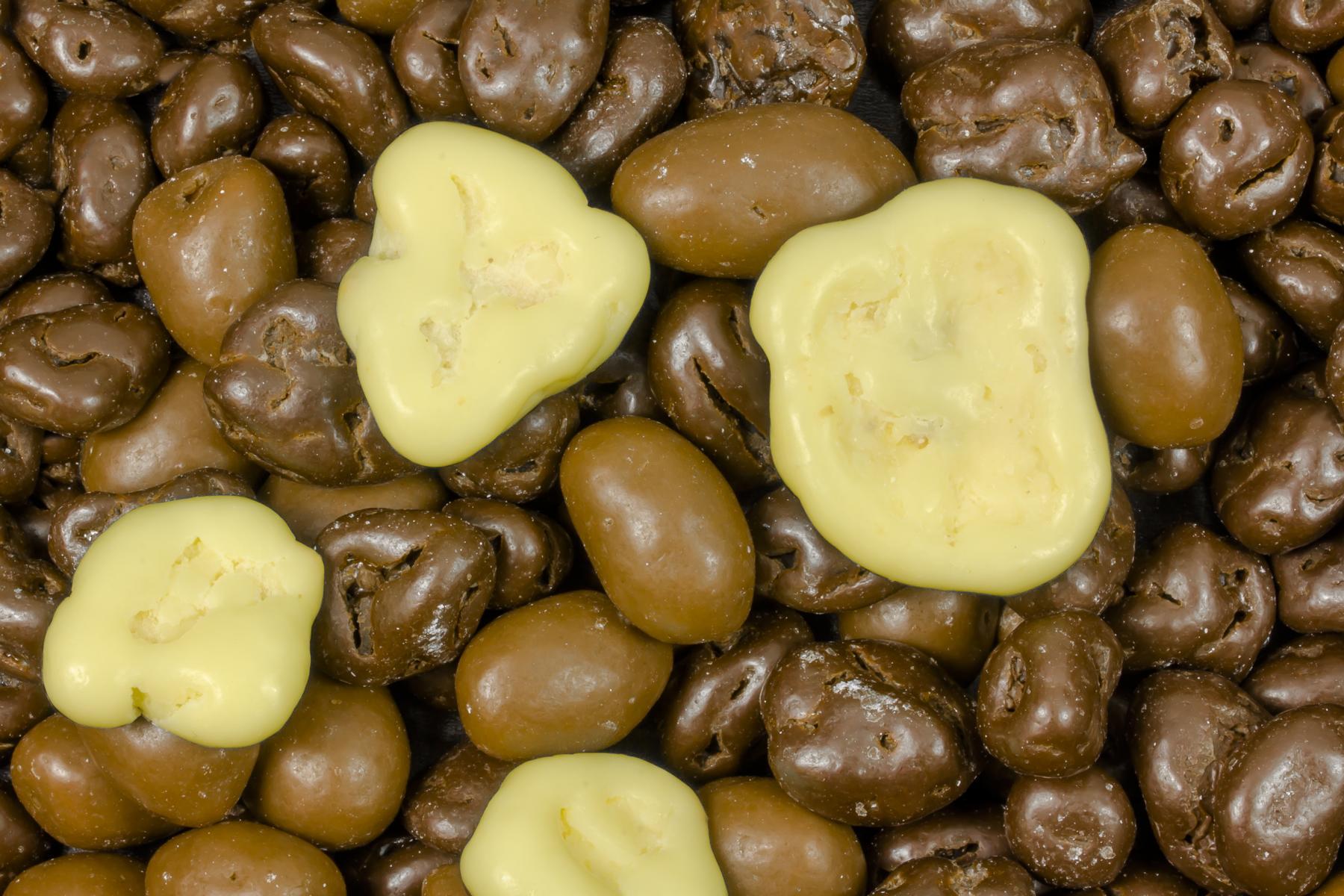 Miscela di frutta e noci ricoperta di cioccolato bio 5kg
