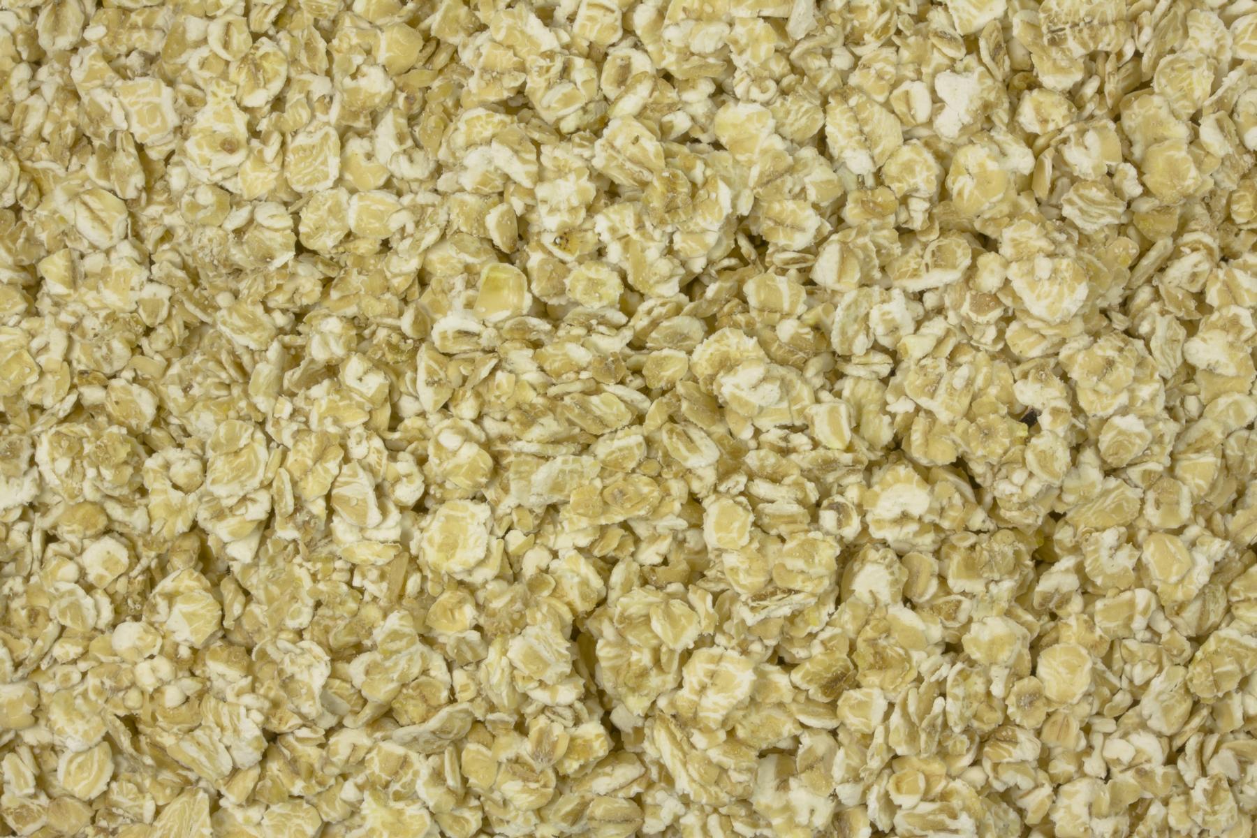 Fiocchi d'avena Biologici senza glutine a lamelle sottili 25kg