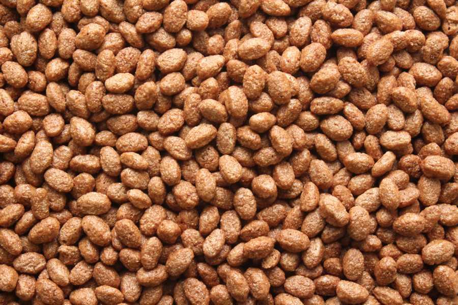 Crisp al cioccolato Biologico 10kg