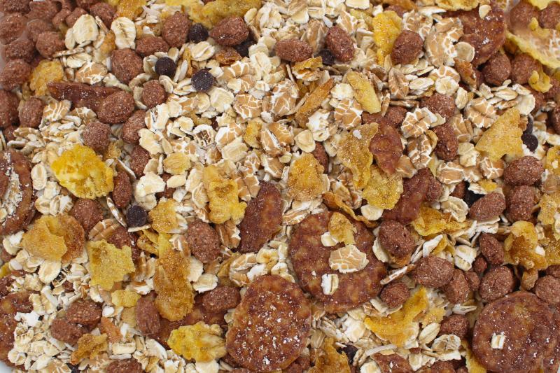 Muesli al Cioccolato Bio 5kg