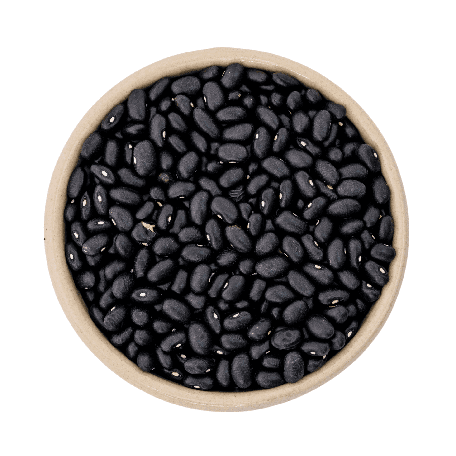Fagioli neri biologici (black turtle) 11.34kg