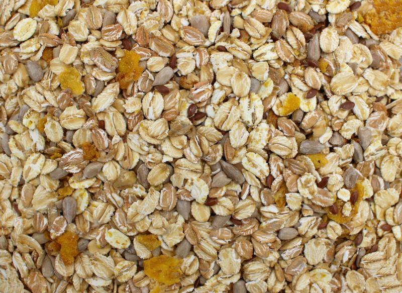 Muesli senza uvetta Bio 25kg