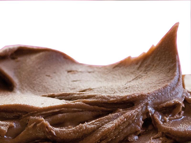 Crema di nocciole Samba bio 8kg