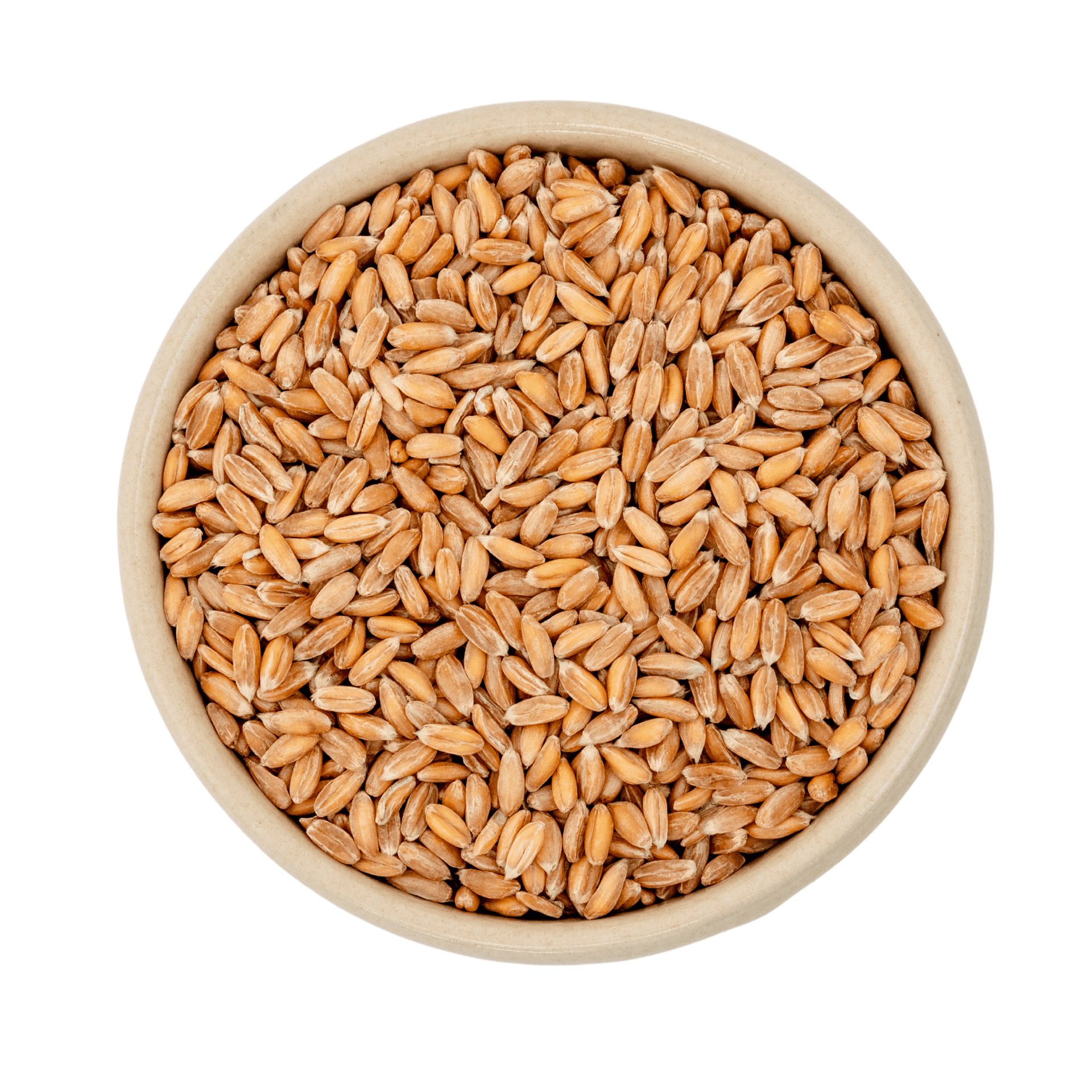 Farro biologico 25kg