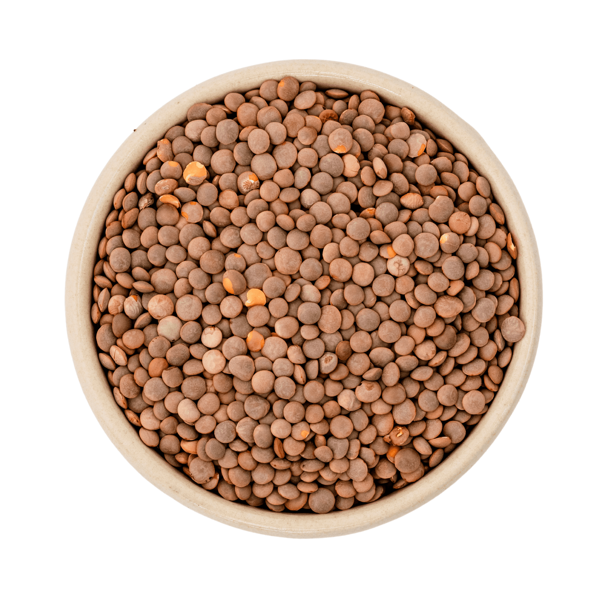 Lenticchie di montagna marroni bio (Gourmet) 25kg