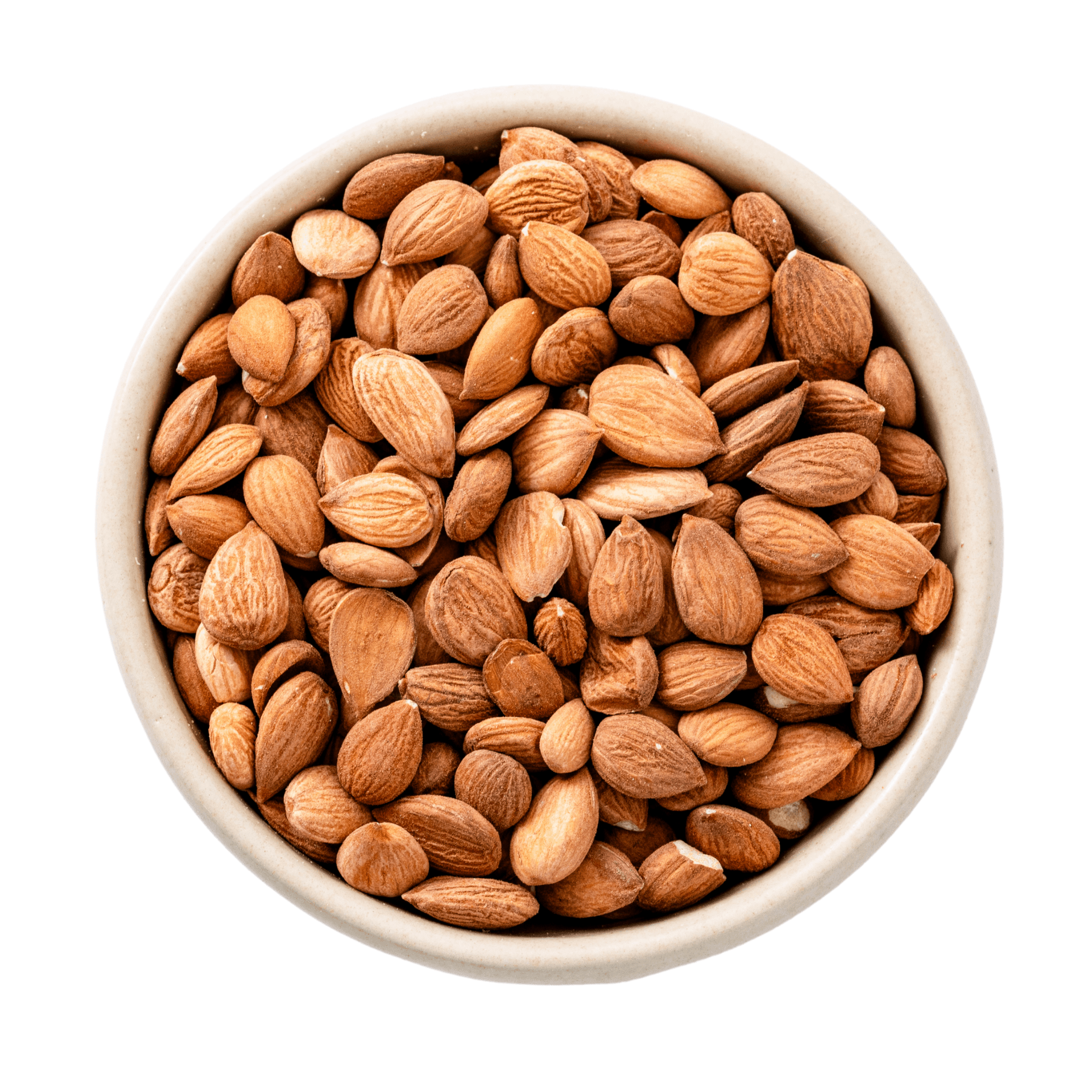 Organic Sweet Apricot Kernels 5kg for Processors Only | Available again from end of May 2024