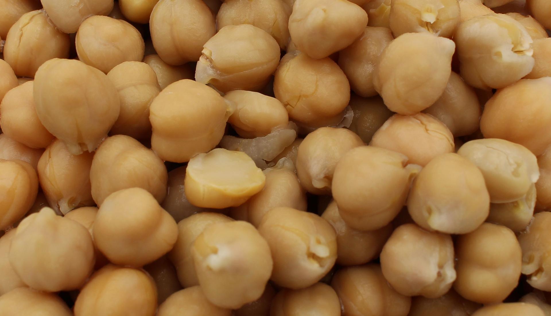 Ceci biologici Marschland Peso netto: 2,6kg, ATG 1,5kg
