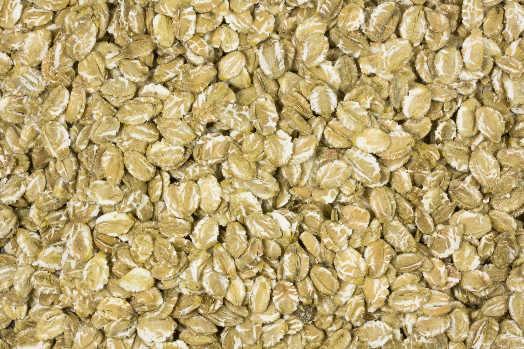 Fiocchi di segale Biologici 25kg