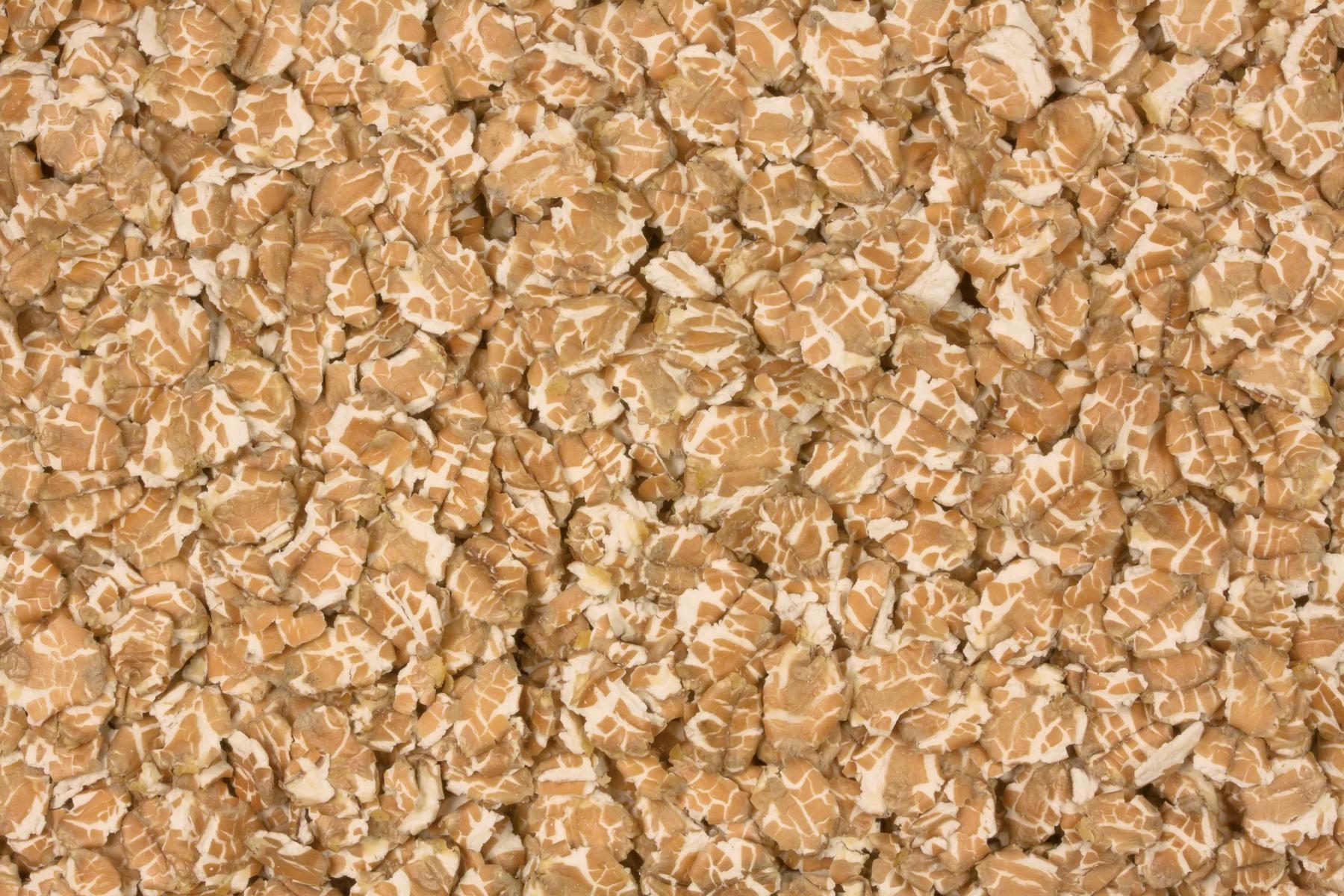 Fiocchi di grano biologico 25kg