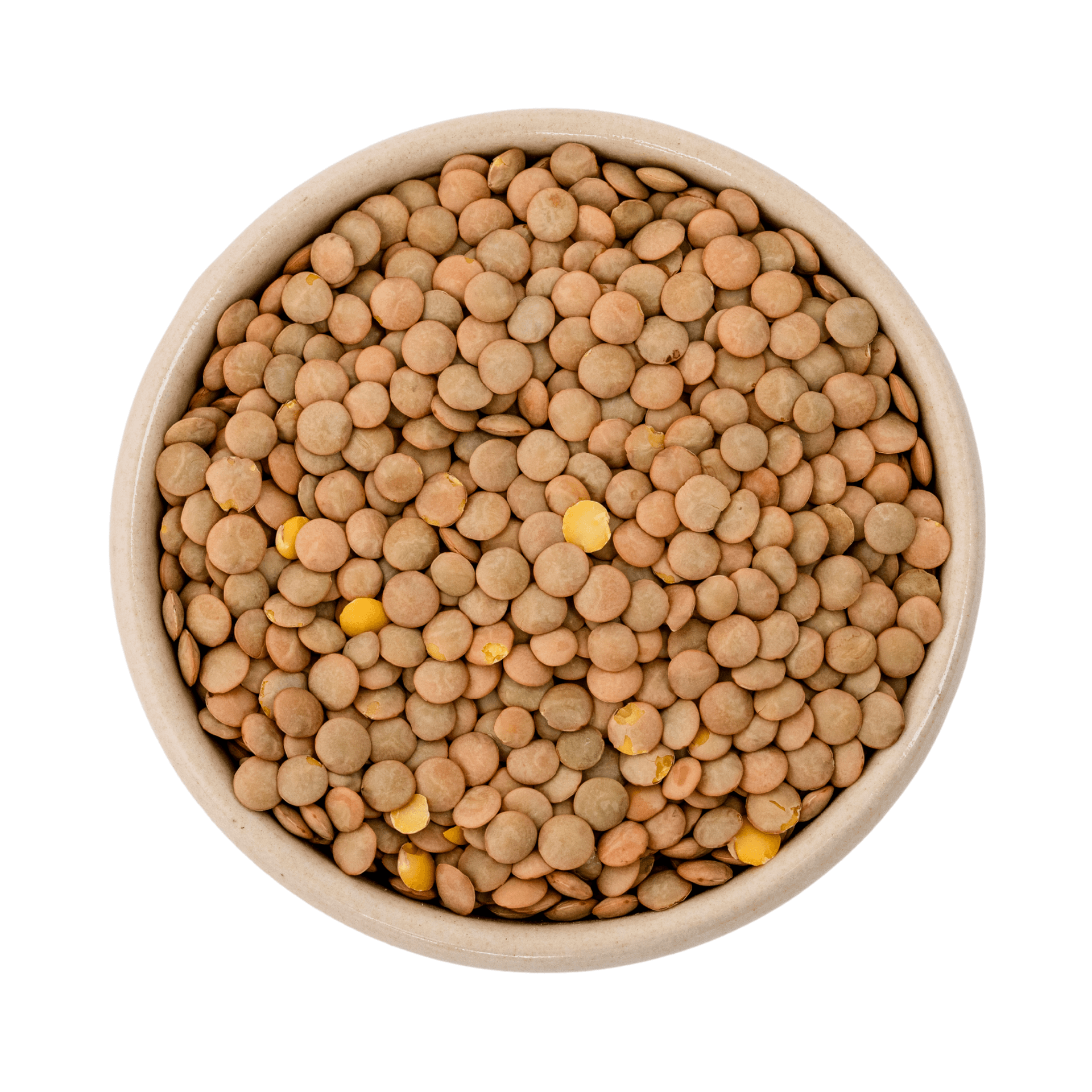 Lenticchie marroni bio (Piatti, Laird) 6x500g