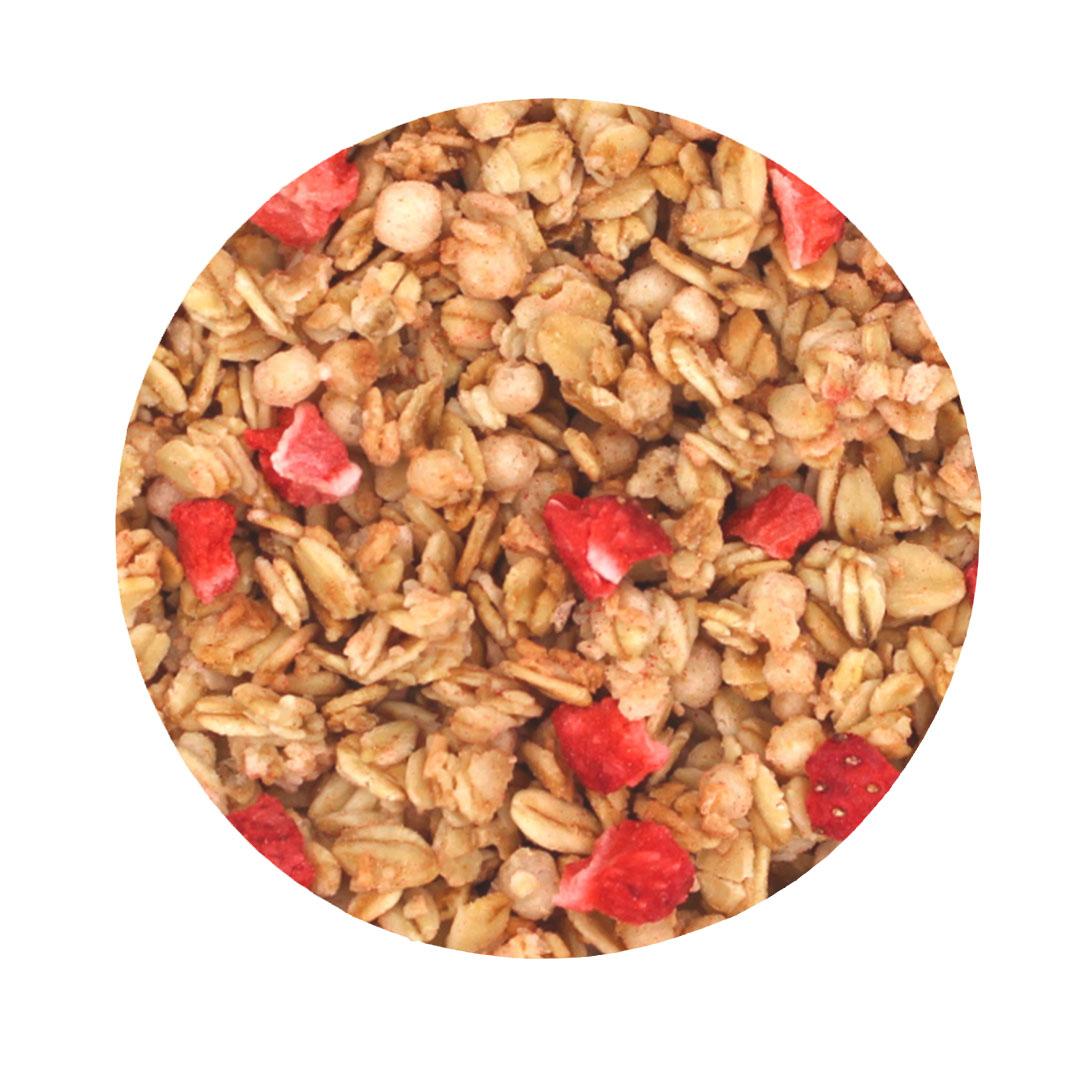Crunchy Fragola (Avena) Biologico 5kg