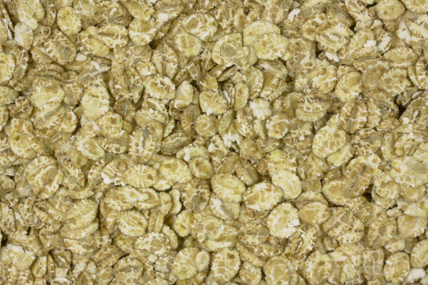 Fiocchi d'orzo Biologico 25kg